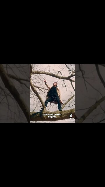 this year i made a promise.