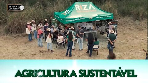 Riza Sementes apresenta braquiarias de alta produtividade no 1 Capim Day