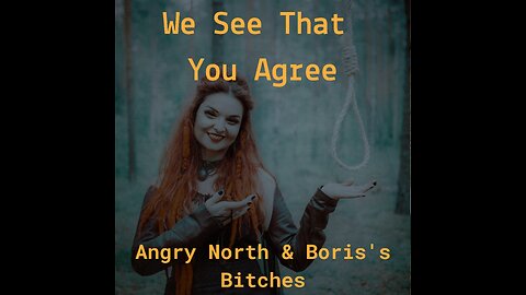 We See That You Agree - A song by Angry North & Boris's Bitches