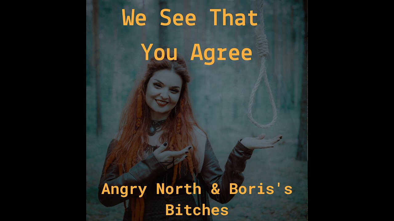 We See That You Agree - A song by Angry North & Boris's Bitches