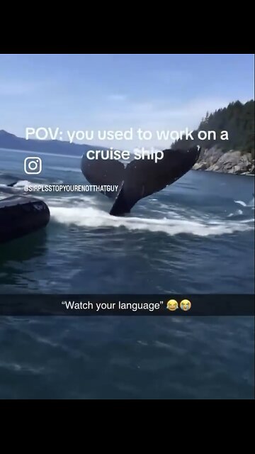 SPENDING THE DAY🚣🐳📸ON A WHALE WATCHING TOUR🛶🐋💫