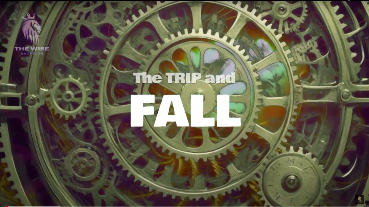 ● The Trip & Fall