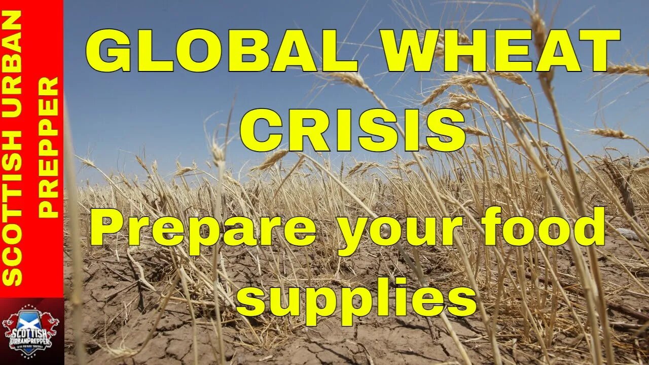 Prepping - Global Food Crisis Prepare your Food preps now