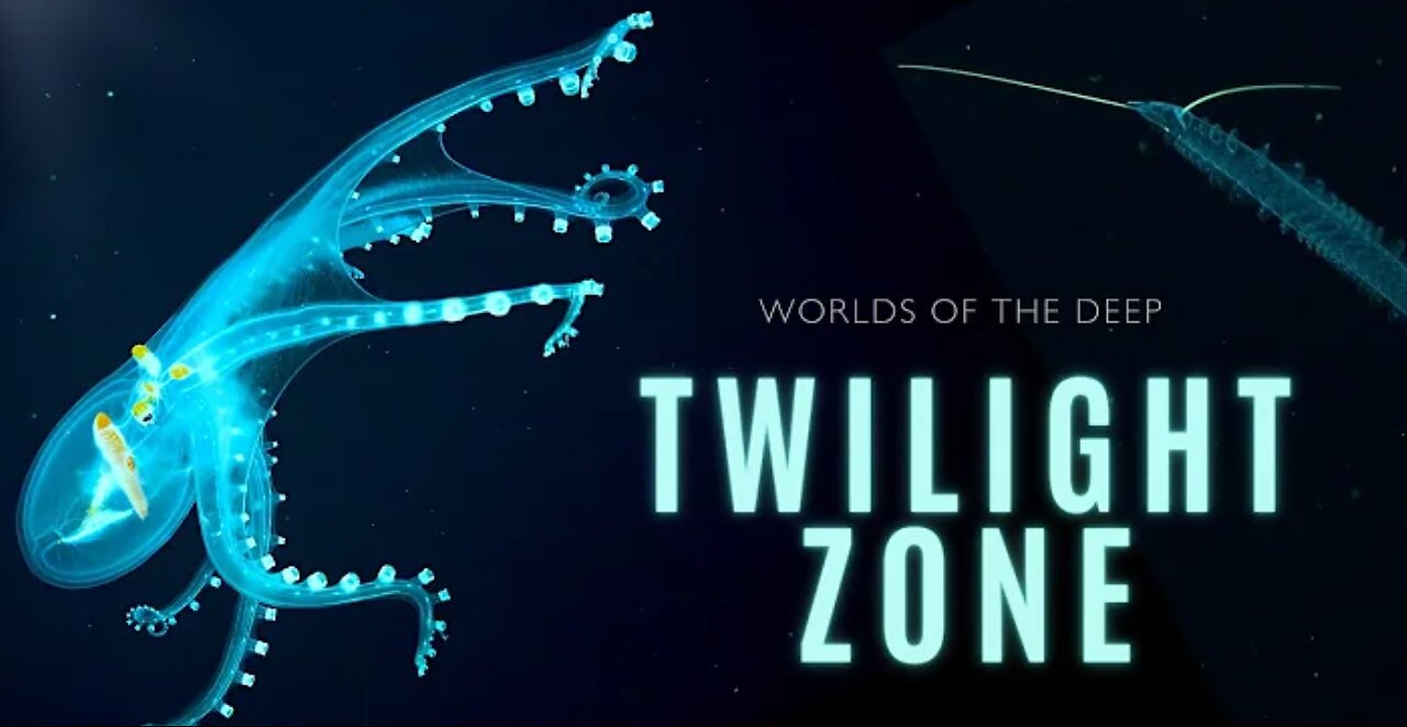 Mysteries of the Twilight Zone Worlds of the Deep 4K HD