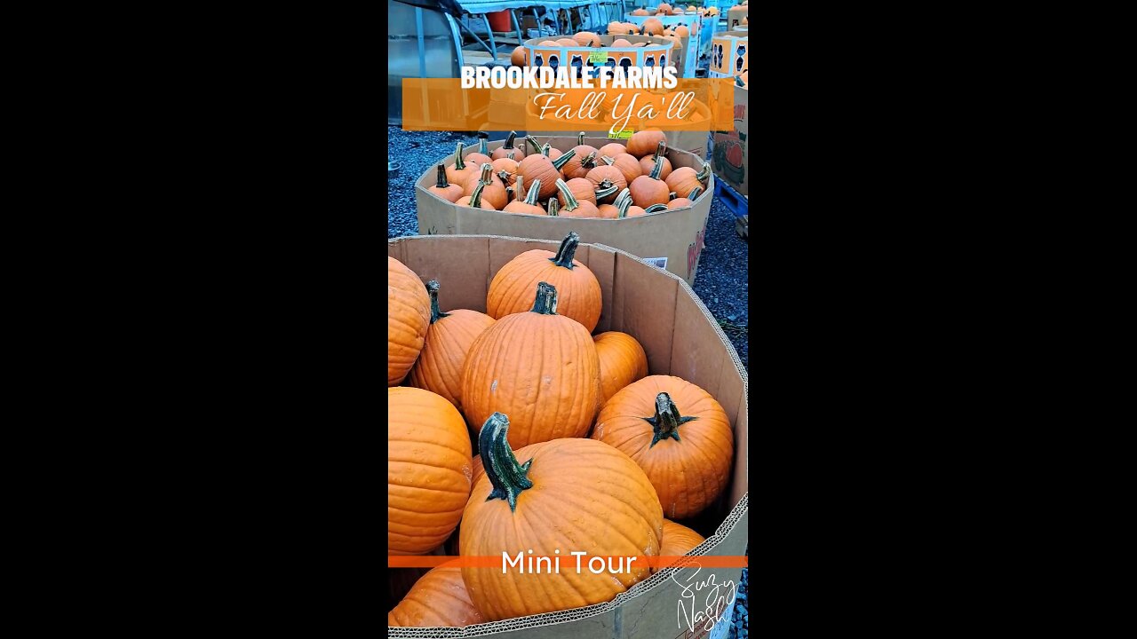 Brookdale Farms mini tour #suzynashmusic #rvlife #fallvibes #fallisintheair