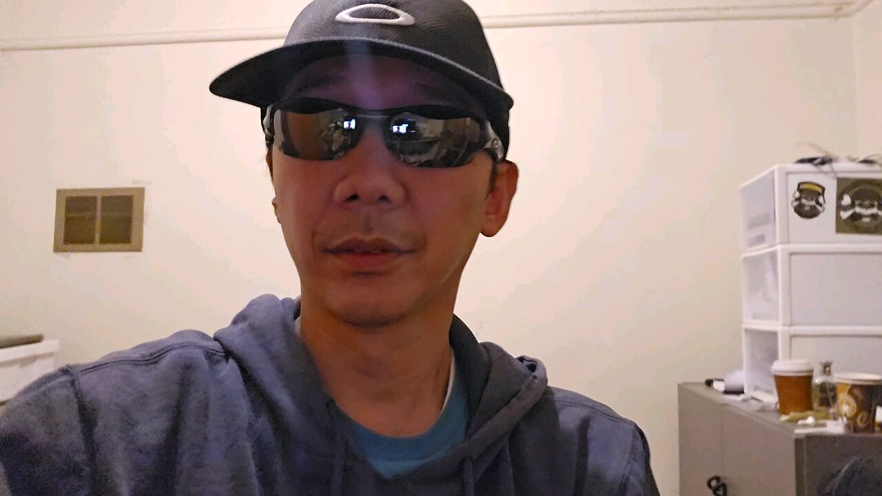 NSW 黑警一姐Karen 既"偉論"