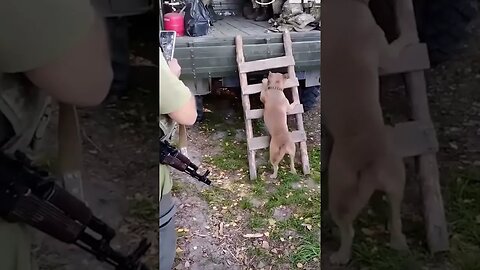 Ukrainian defenders
