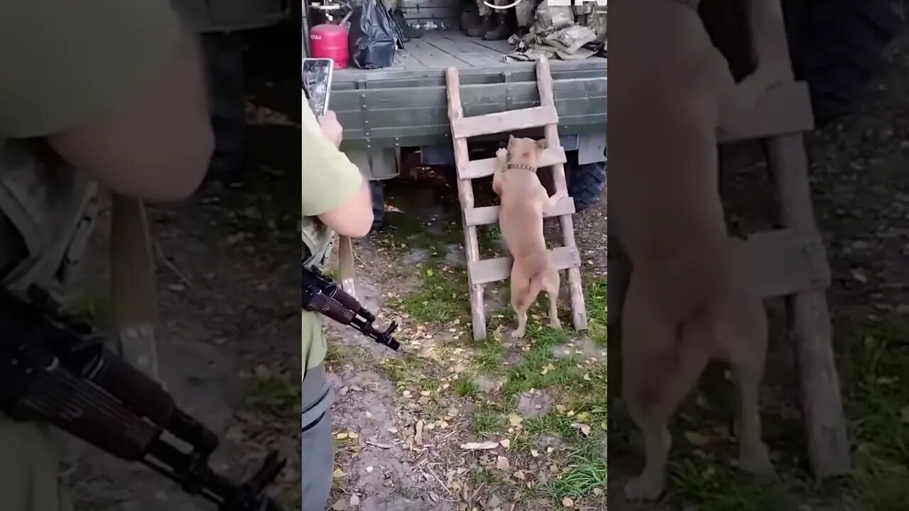 Ukrainian defenders