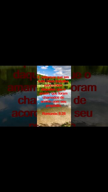 Verso Do Dia | Leitura Inspiradora Para Começar Seu Dia. | 85