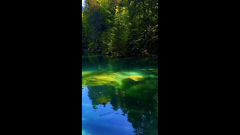 Beautyful Nature colours with relaxing music #nature #relaxing #rain #asmr