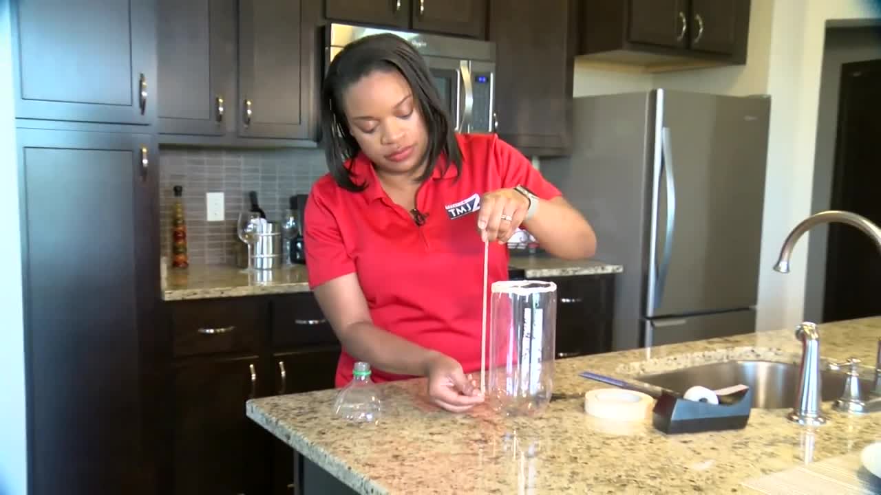 Creating a rain gauge with Elissia Wilson