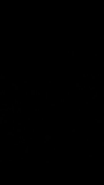 Categorically speaking