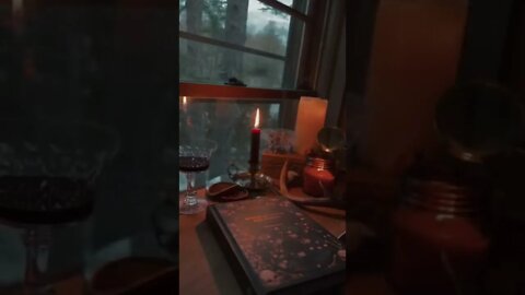 Introverts Evening tiktok wild morgan