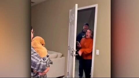 New Puppy Surprise Compilation 😘😍😘 #cute #funny