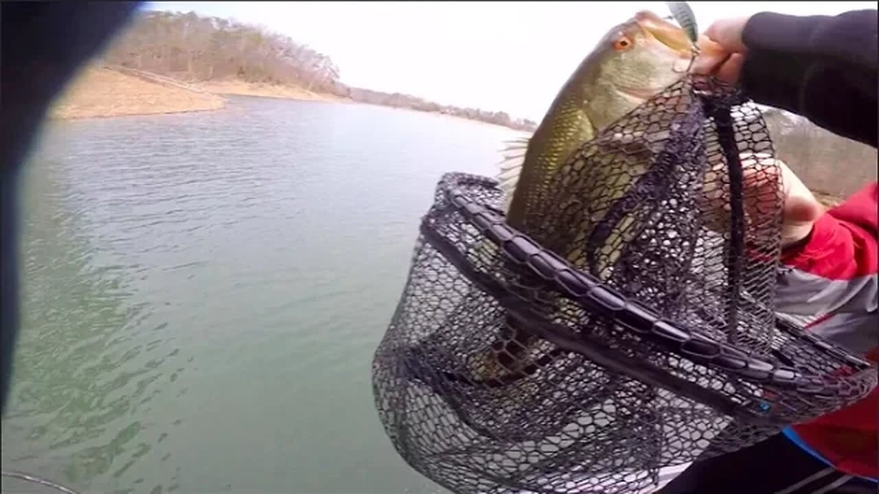 Catching Pre-Spawn Bass on Crankbaits!