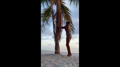 Flore de Lille Veuve Joyeuse c’est beaucoup plus, car il s’agit de par avance sur une feuille