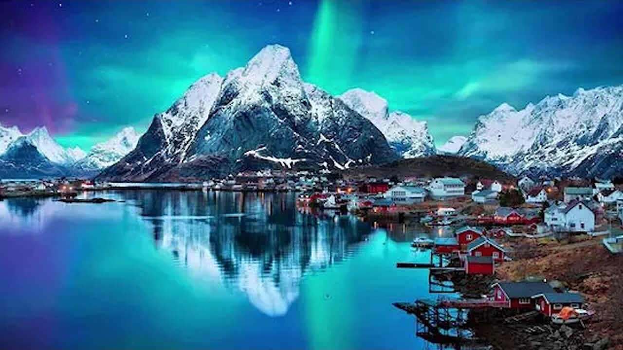 Enchanted Forest Secrets of the Woodlands Revealed