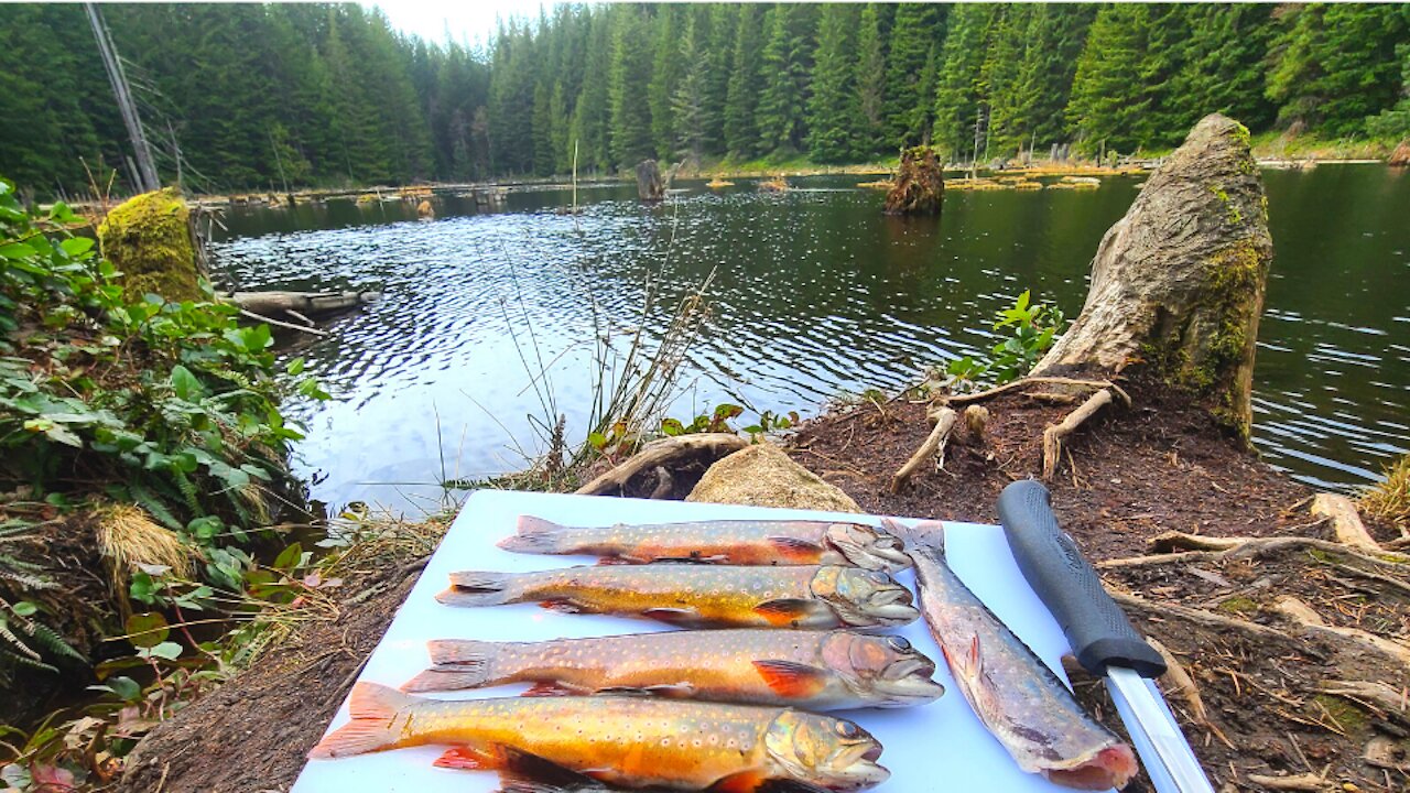 |4K| His First Ever Catch & Cook BROOK TROUT!