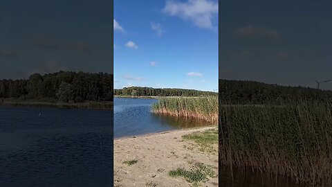 so schön am See in Vydmantai #short #litauen #natur