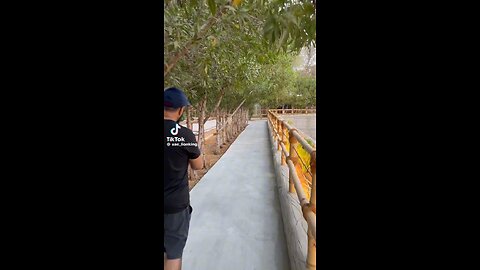 Little Chimpanzee meet his owner after long time EMOTIONAL VIDEO.
