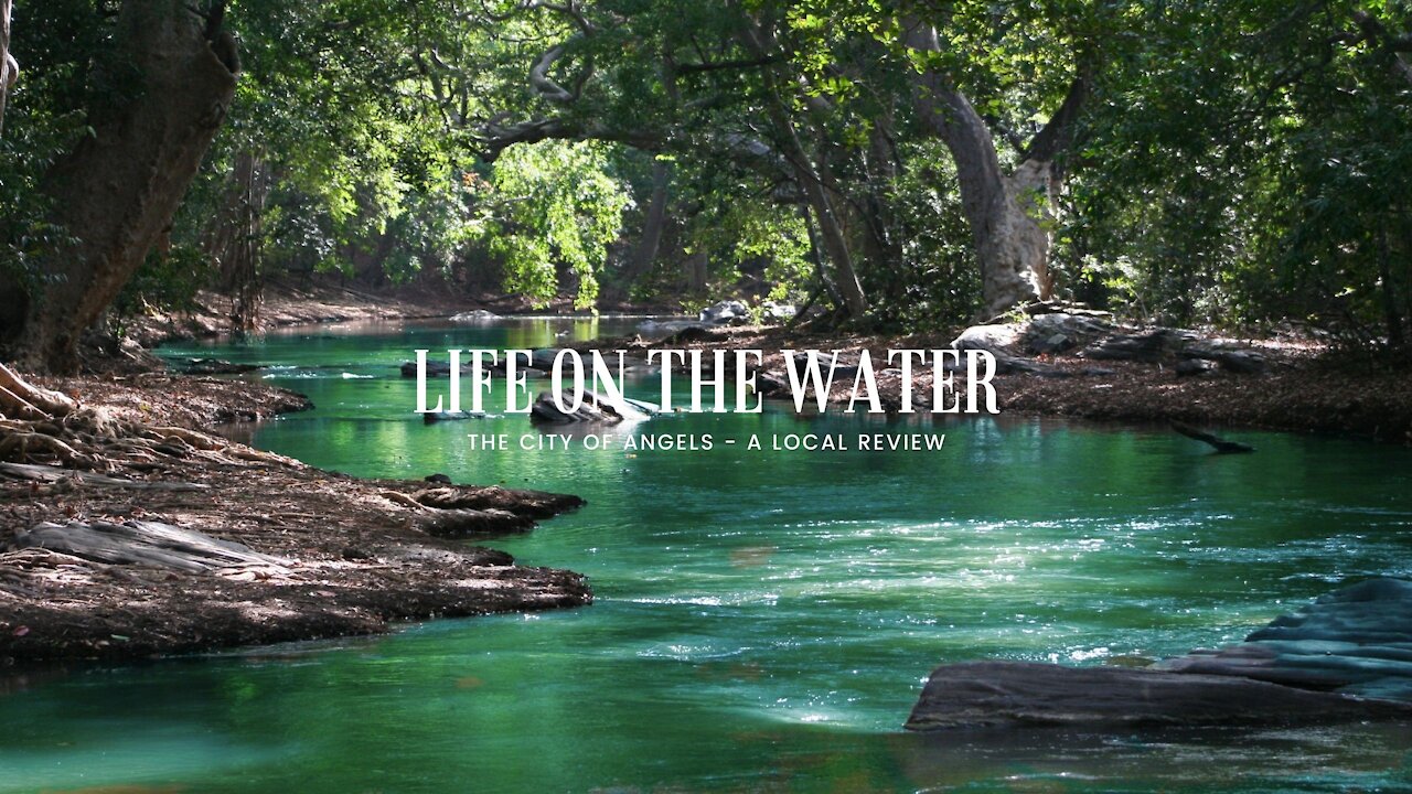 Body of Water Between Green Leaf Trees