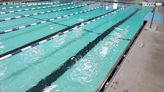 Guy juggles while swimming