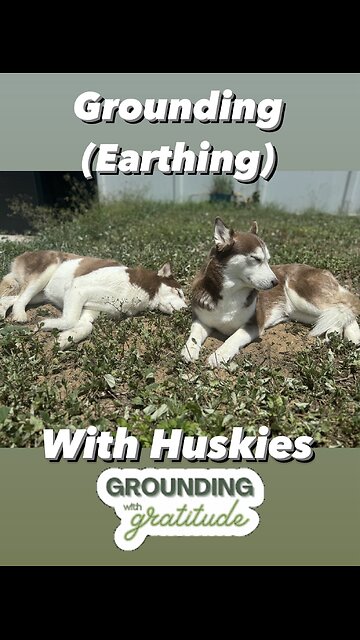 Grounding with the Huskies