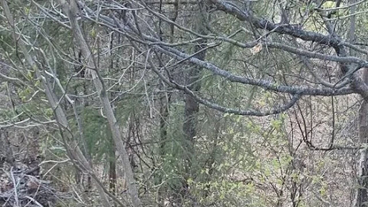 First Look At The Land