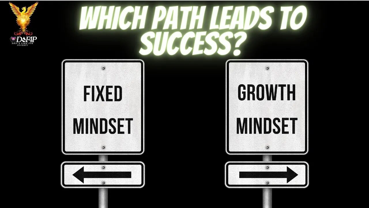 Drip Network how to develop an anti fragile mindset