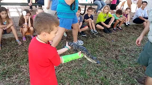 People Reacting To Crocodiles & Alligators = HILARIOUS