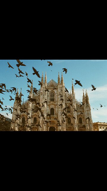 Pigeons on the head of who? Be careful 😂 #shortvideo