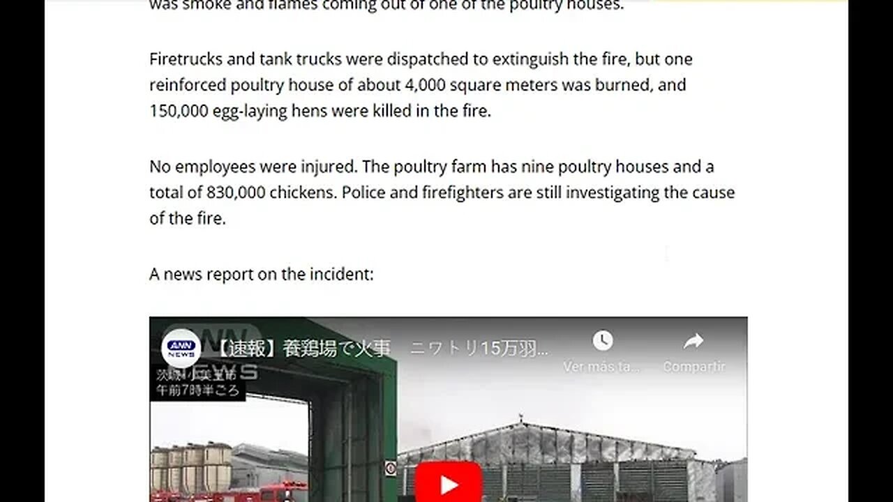 150,000 chickens in Japan k_lled in explosion