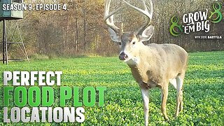 How to Find the Perfect Food Plot Location