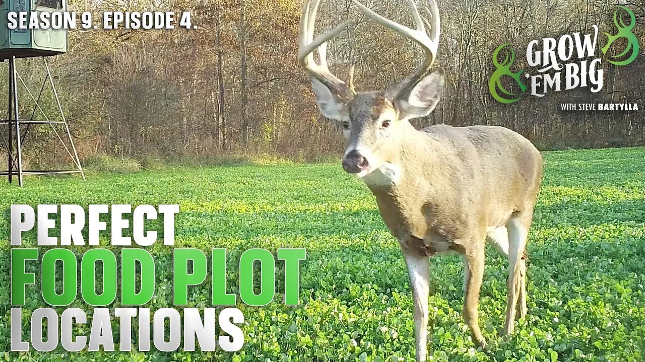 How to Find the Perfect Food Plot Location