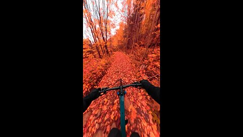 Fall season in Canada🍁 Best time of the year to bike