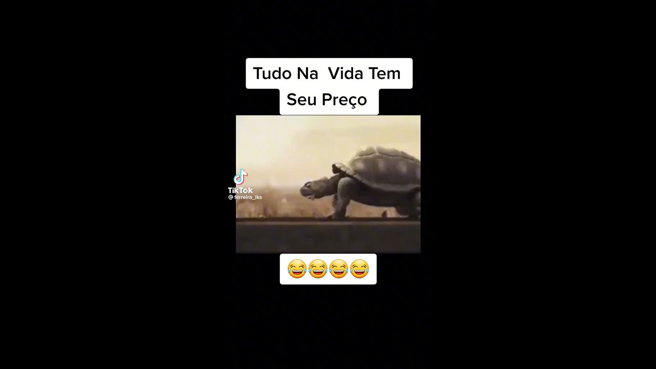 Desenho