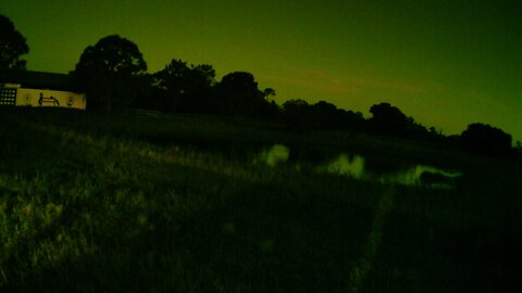 Night Vision Sunrise