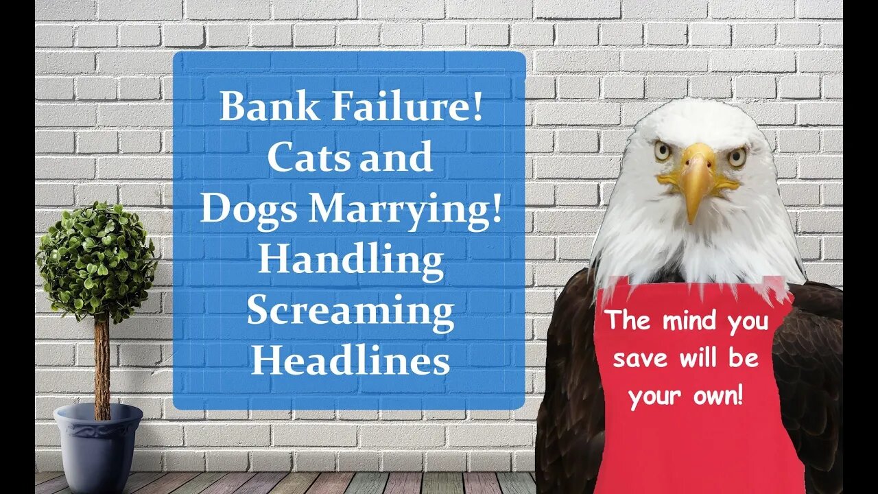 Bank Failure! Cats and Dogs Marrying! Handling Screaming Headlines