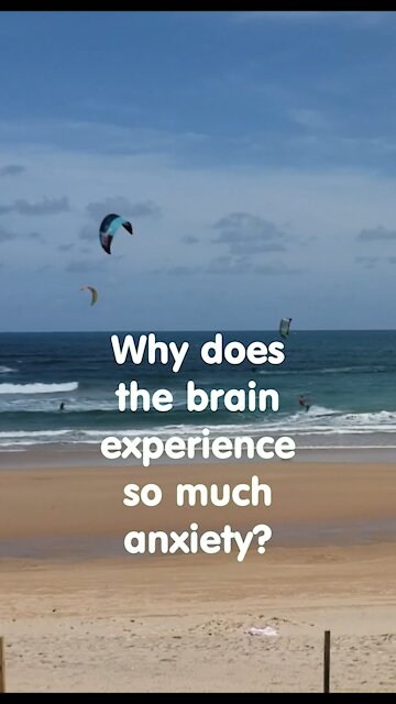 Why does a brain experiance so much anxiety? (funny joke)