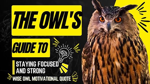 Wise Owl Motivational Quote│The Owl's Guide To Staying Focused & Strong│#quote #motivationalvideo