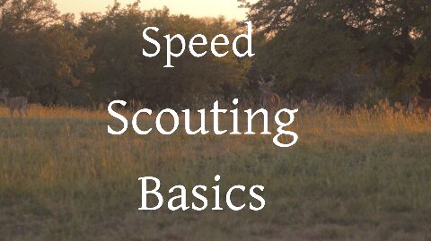 Speed Scouting Basics