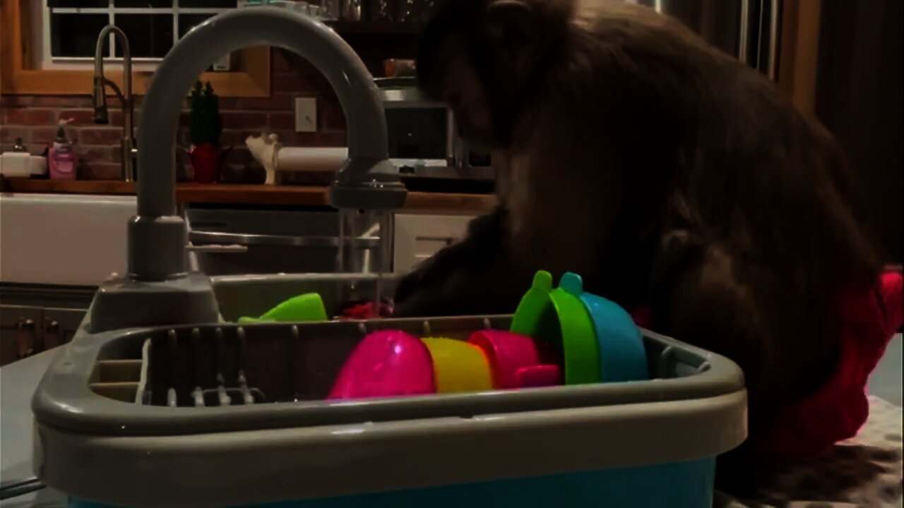 Check out my new sink from SANTA!!Dishes!! Chores are important I’ve gotta eat my keep mom says! 🐒❤