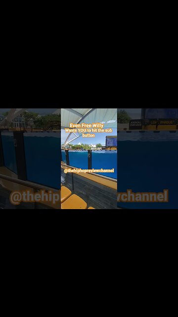 Killer Whales JUMP to JOIN #fyp #hiphopmusic #hiphopreview #killerwhales #viralshort #subscribe