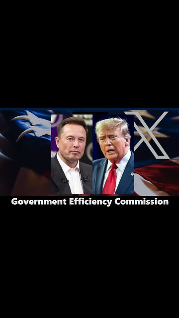 X Spaces | Musk suggested the creation of a "Government Efficiency Commission"