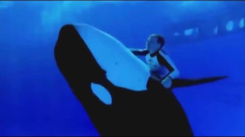 The Horrifying Last Moments of SeaWorld Trainer keltie Byrne