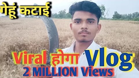 गेहूं कटाई Vlog video. Sujal MLT Vlog गेहूं कटाई .