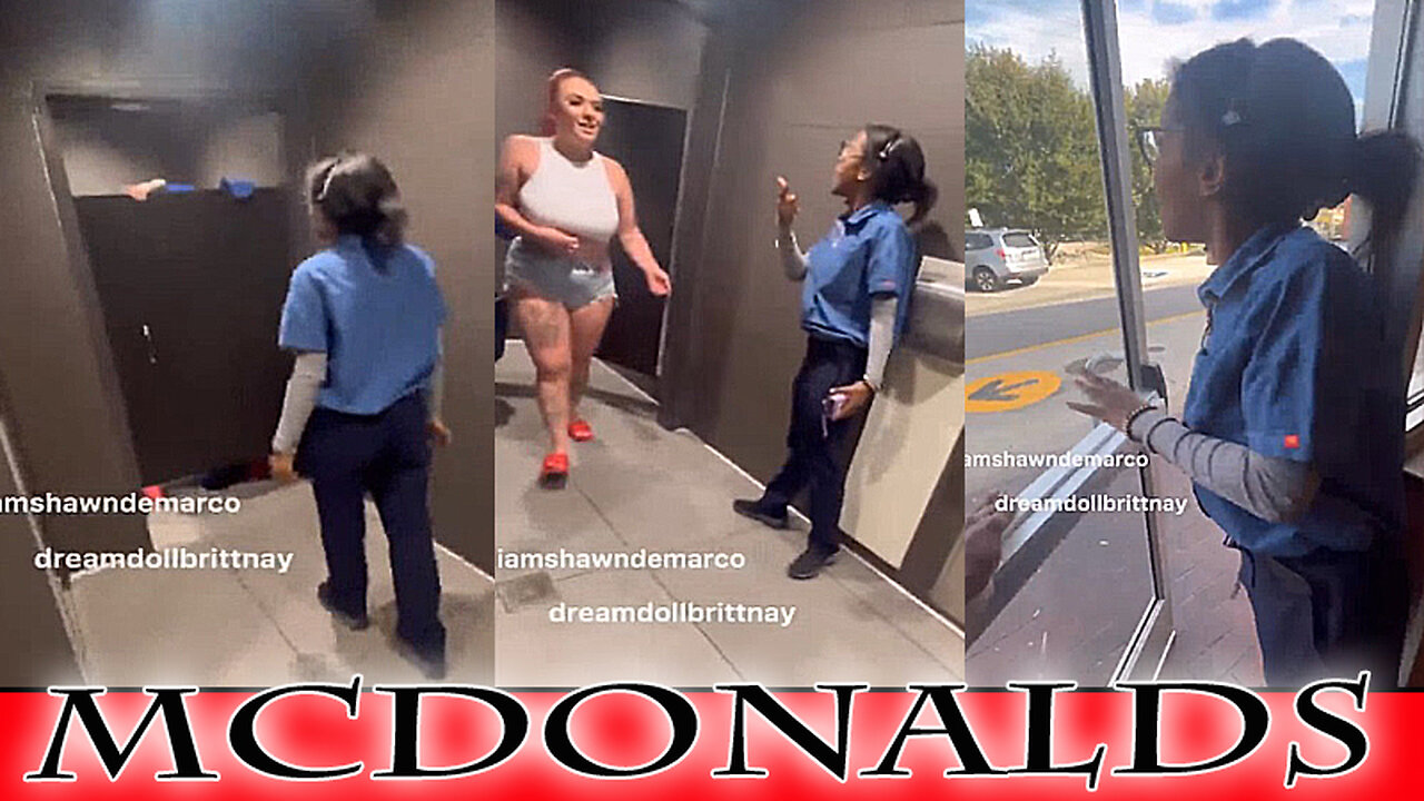 Woman Getting Smashed in A McDonalds Bathroom