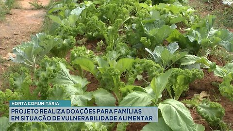 Horta Comunitária: Projeto realiza doações para famílias em situação de vulnerabilidade alimentar.