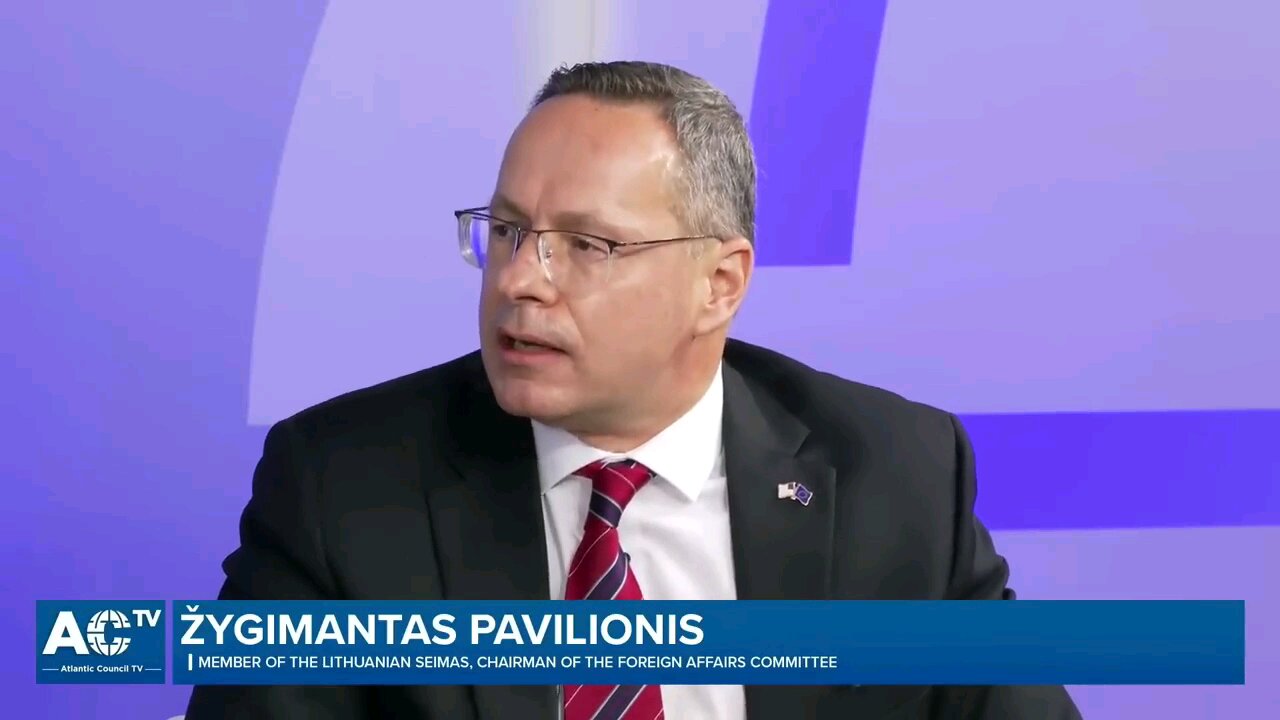 [AC NATO Summit] Zygimantas Pavilionis