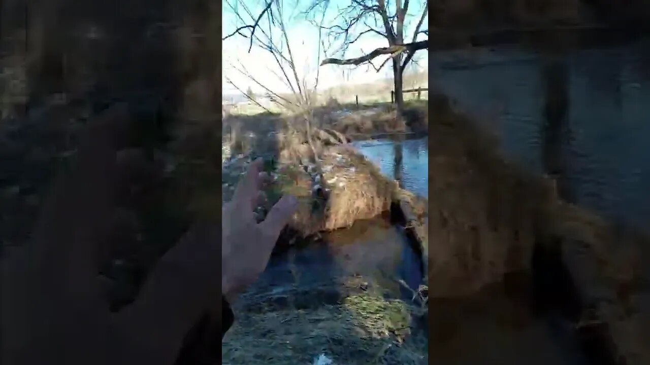 goodbye land!?!